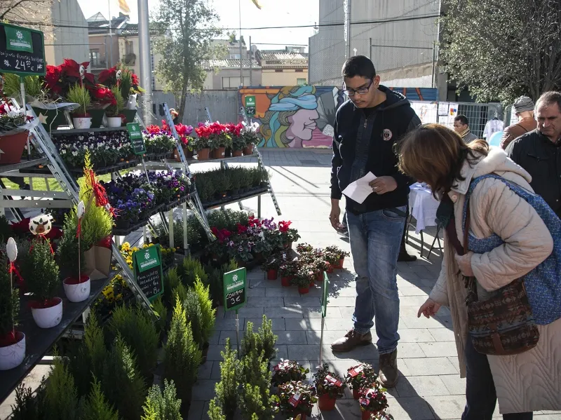 La Font del Ferro durant el Dia Internacional de les Persones amb Diversitat Funcional. Foto: Lali 