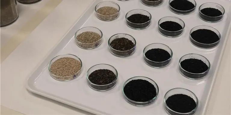 Experts del CTFC demostren el potencial de les biorefineries per crear productes d'alt valor a partir de la biomassa forestal
