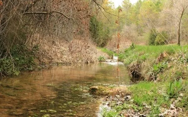 Foto: Associació Terres del Gaià