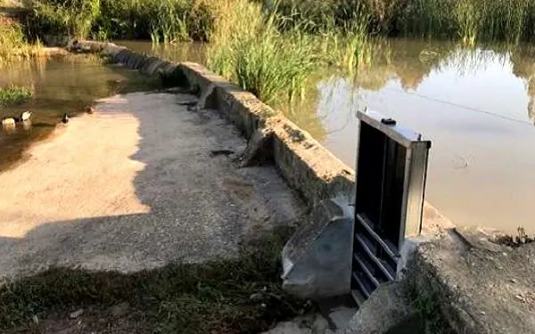 Foto: Associació Mediambiental La Sínia