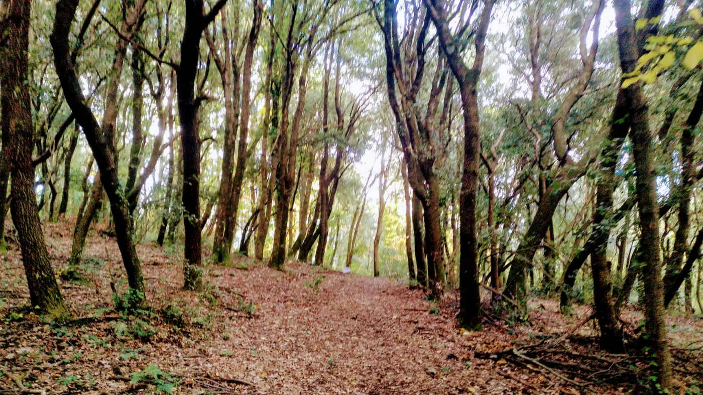 S'edita el mapa-guia excursionista 'Calella i el seu entorn'