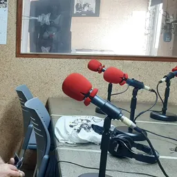 L'entrevista - Vicent Fibla - Eufònic del 19/08/2021 - episode art