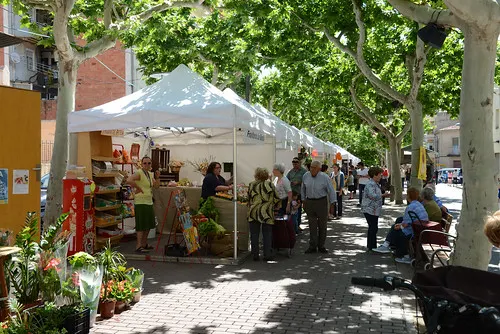 Una trentena d'activitats i seixanta expositors en el segon Terrafira del Morell