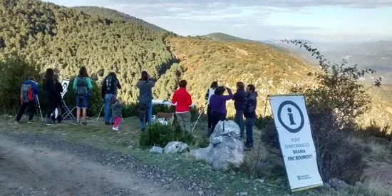La Reserva Nacional de Caça de Boumort posa en marxa el servei d'informació sobre la brama del cérvol