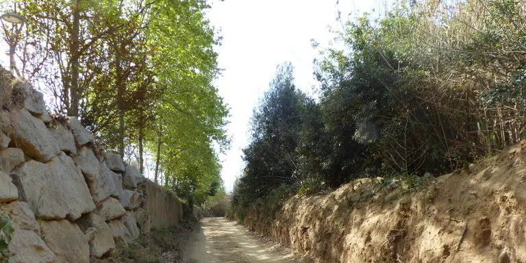 L'Ajuntament d'Arenys de Mar preveu diverses tasques de manteniment als rials del Cavaió i del Sapí