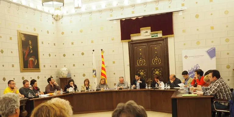 La CUP proposa que la Seu se sumi a la "desobediència" a la justícia espanyola