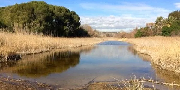 L’Associació Mediambiental La Sínia d’Altafulla se suma a la Setmana Sense Soroll