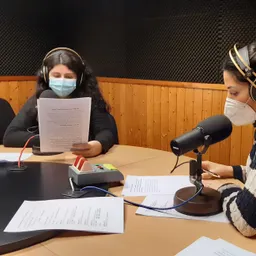 ENTREVISTES MASCARETES TELA - episode art