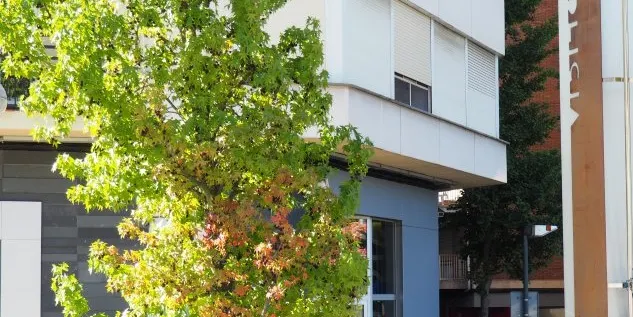 Es reobre a la Seu d'Urgell la cita prèvia per a renovacions del DNI