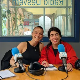talls de veu del 25/4/2025 - episode art