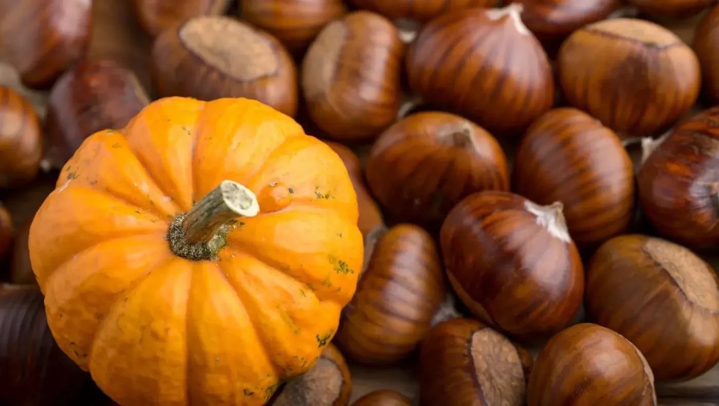 La Castaween ho organitza la UBICA amb l'objectiu de combinar La Castanyada i Halloween
