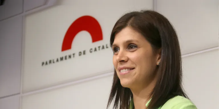 Vilalta nega que la reforma del Codi Penal busqui l'extradició de Puigdemont o agreugi la persecució als manifestants