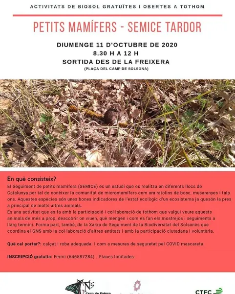 El Grup de Natura organitza una jornada de seguiment de petits mamífers