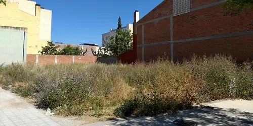 El consistori engega de nou la campanya de neteja de solars
