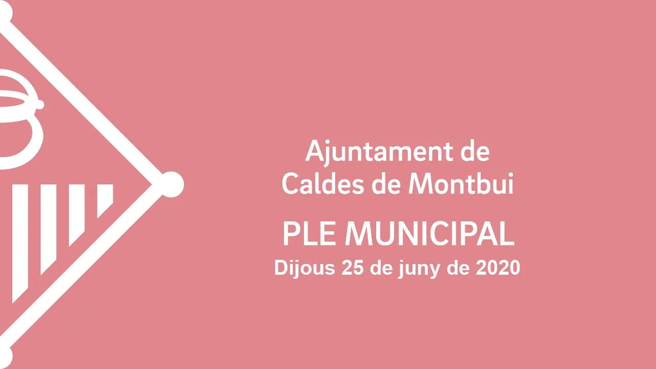 El Ple de juny encara telemàtic i amb participació ciutadana