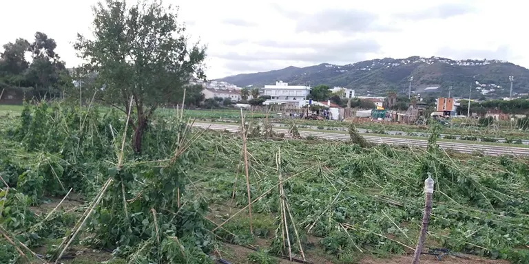 Arriba la calma després del temporal