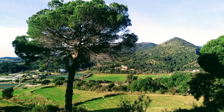 Dia de núvols prims enterinyant el sol