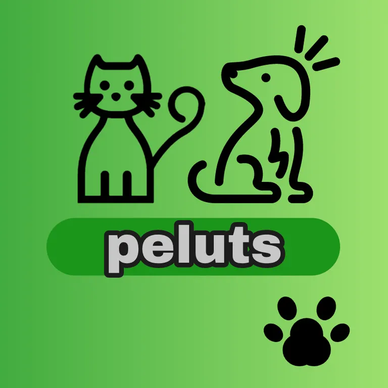 Peluts