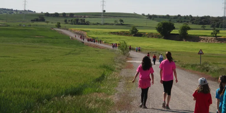 Caminada per celebrar el Dia Mundial de l'Activitat Física a Agramunt