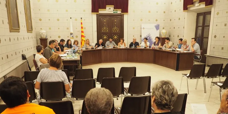 Els plens de la Seu s'emetran per Internet a partir del gener