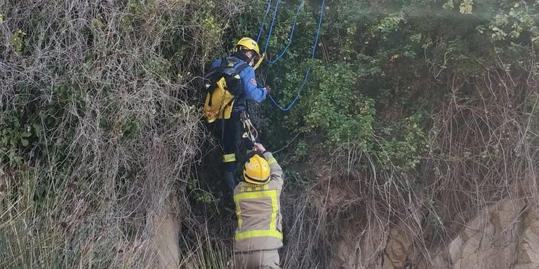 Rescaten un gos que havia caigut per un penya-segat de difícil accés a Blanes