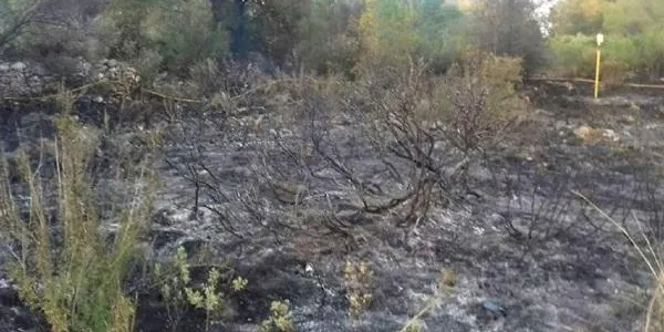 Els bombers extingeixen un incendi forestal a Roda de Berà