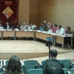 Ple Municipal del 31/03/2016 - episode art