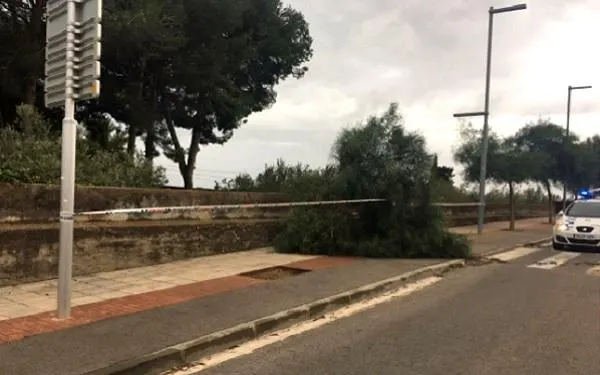 Foto: Policia Local d'Altafulla