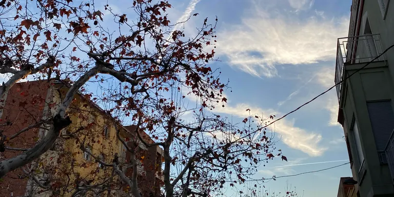 El temps d'aquest divendres 18 d'octubre