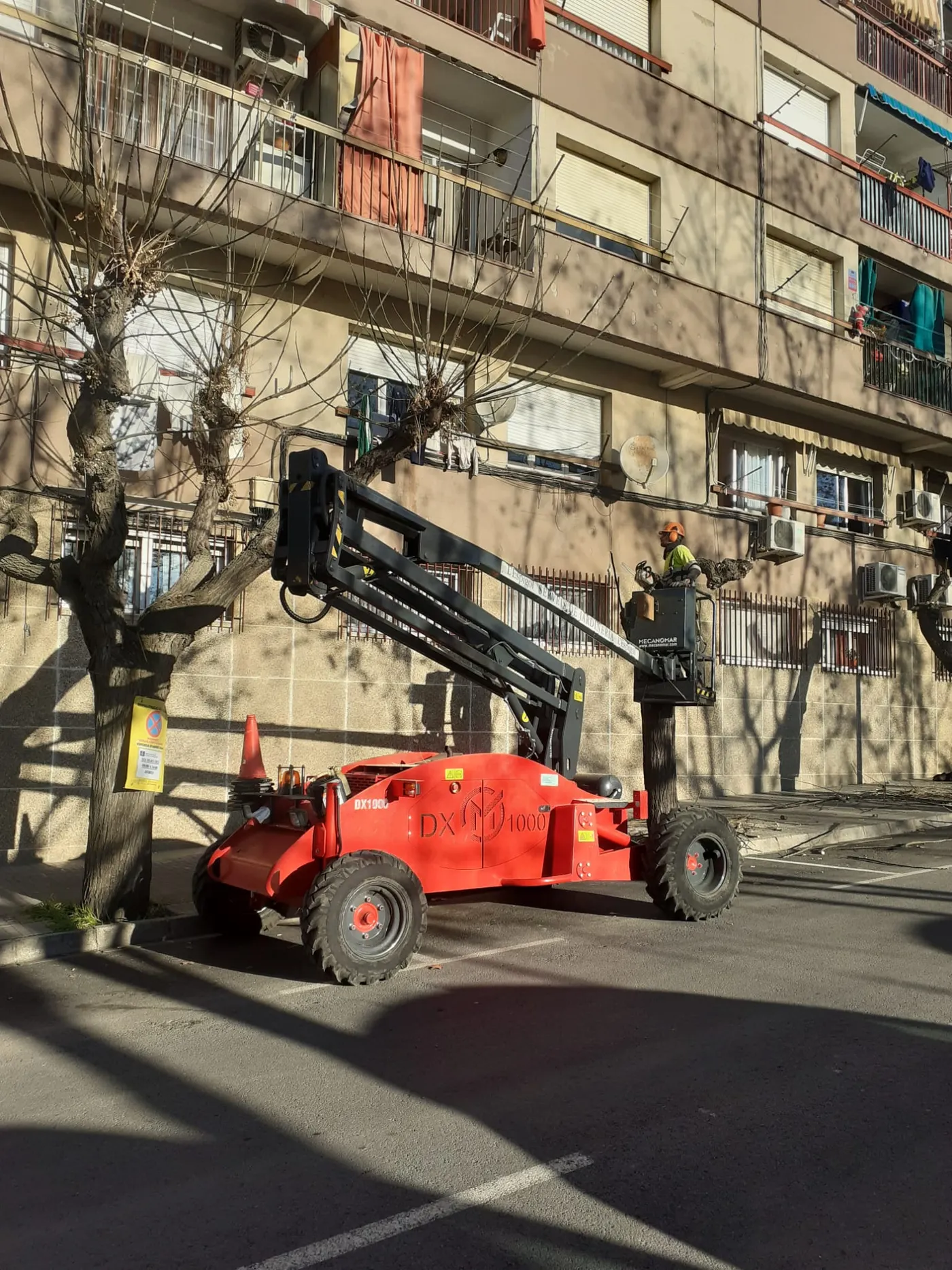 Comença la campanya anual de poda d’arbres als espais públics de Caldes
