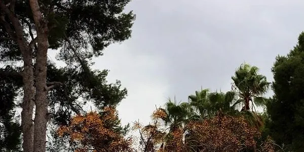 Protecció Civil demana precaució pel temporal de pluja i vent previst per aquest dimecres