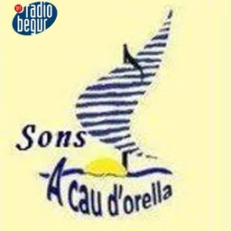 A cau d'orella del 18/10/2026 - episode art
