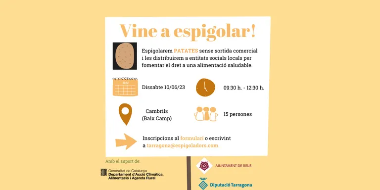 Nova espigolada de patates aquest dissabte a Cambrils