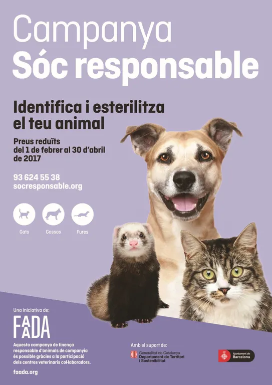 La Seu col·labora en una campanya de tinença responsable d'animals de companyia