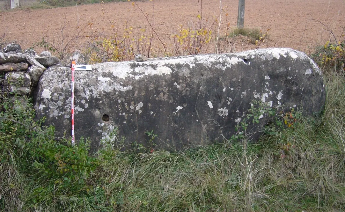 El Consell Comarcal treu a concurs la restauració de tres esteles-menhir