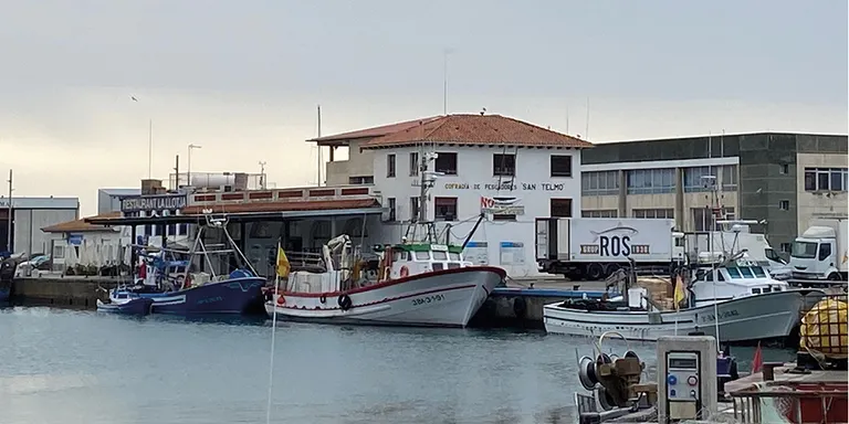La confraria de pescadors Sant Elm celebra 440 anys d'història aquest 2025