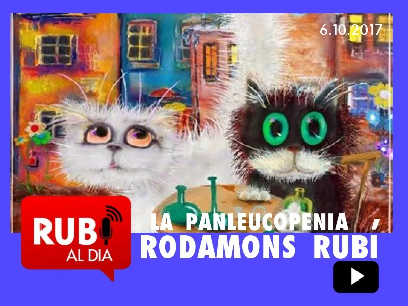 RODAMONS RUBÍ campanya panleucopenia