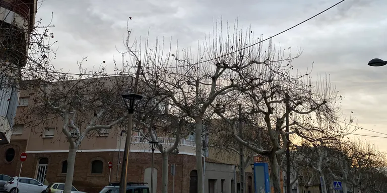 El temps d'aquest divendres 16 de febrer