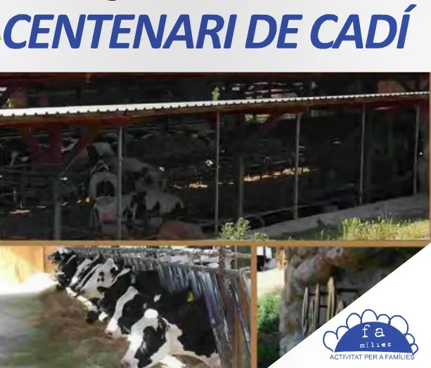 Visita a l'explotació ramadera Cal Parra de la Seu, amb motiu del centenari de la Cooperativa Cadí
