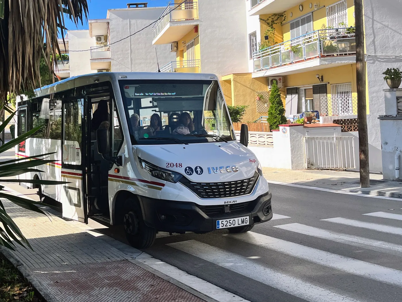 bus autobus hife parades transport