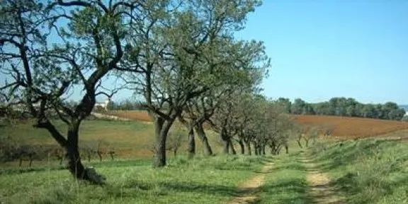 Diverses entitats impulsen l'aprovació d'un pla per protegir i dinamitzar l'activitat agrària als dos vallesos