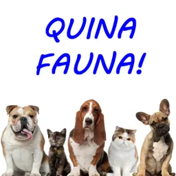 Quina fauna! del 15/9/2014 - episode art