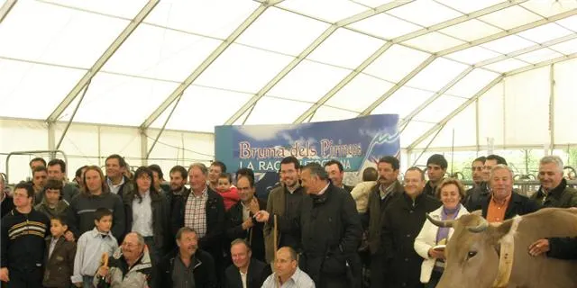 La Seu acull els millors exemplars de Bruna dels Pirineus