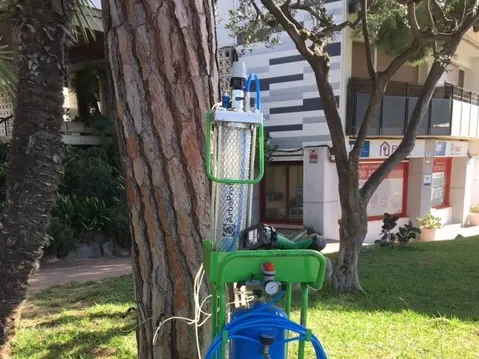 Tractament d’endoteràpia per prevenir la plaga de processionària del pi