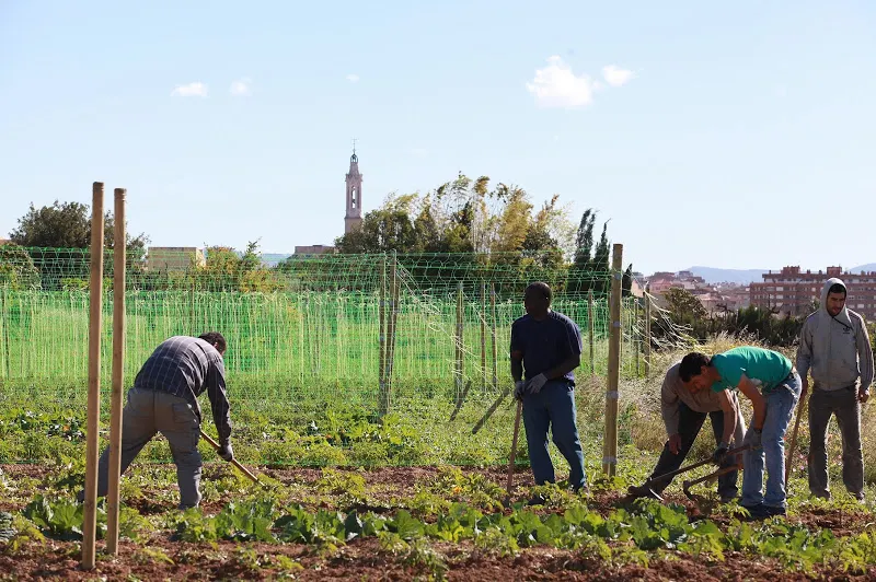 S’obre un segon hort comunitari al Barri Antic de Valls