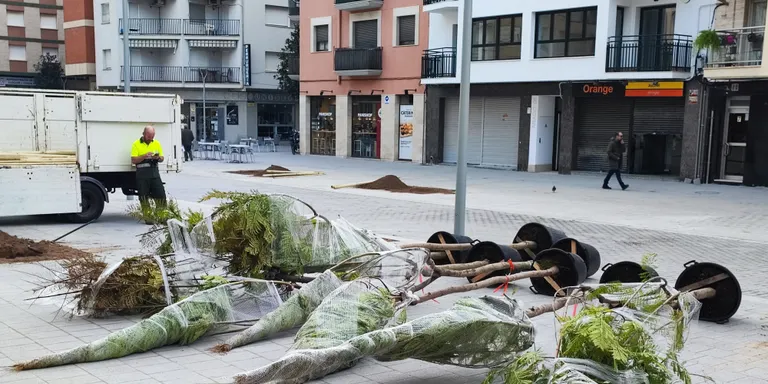 Les obres de la Rambla Jaume I encaren la seva recta final amb la plantació d’arbres a la Plaça d’Aragó