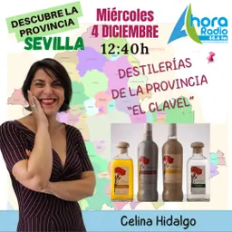 #26 - Gelves en la onda - Descubre la Provincia del 4/12/2024 - episode art