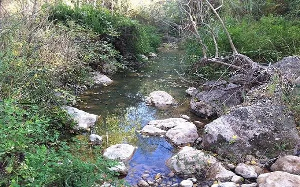 L’Associació Mediambiental La Sínia d’Altafulla dóna a conèixer la Font de Sant Joan