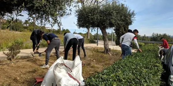 El PTT d’Altafulla podria substituir la formació de jardineria per una d’hostaleria el curs vinent o el següent