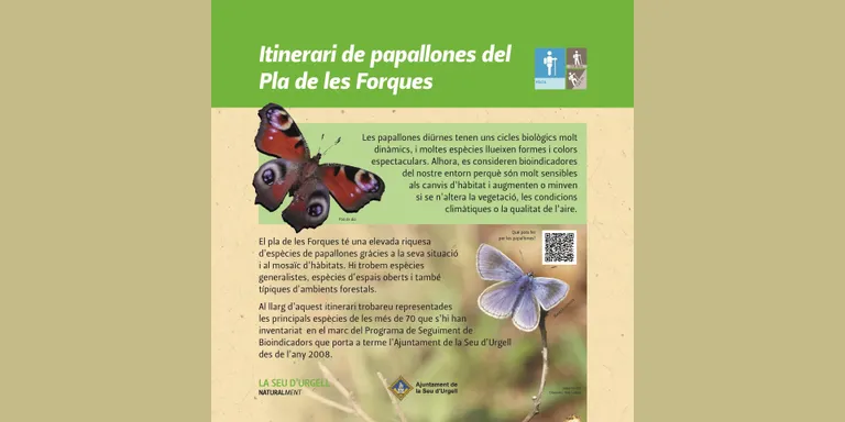 La Seu d’Urgell crea un itinerari de papallones al Pla de les Forques